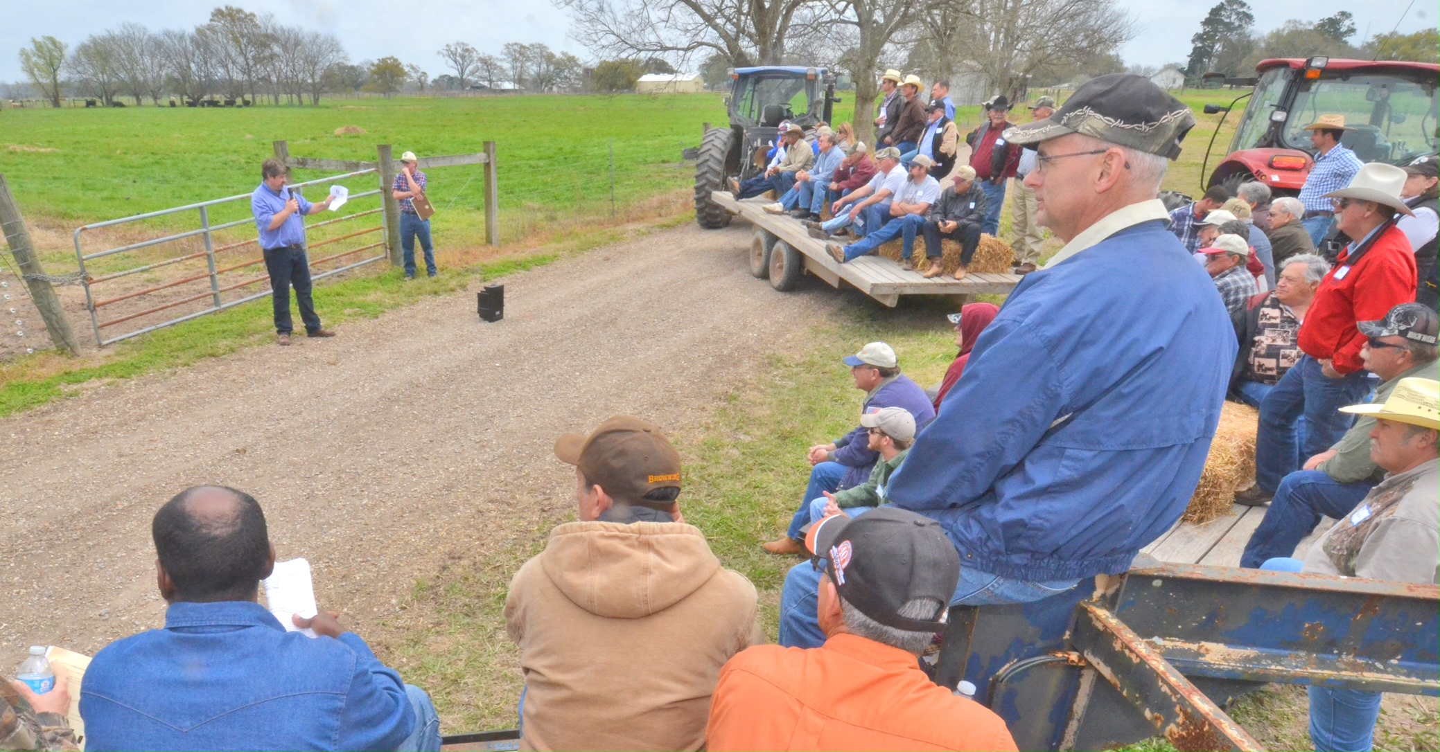 Acadiana beef field day set for March 3 